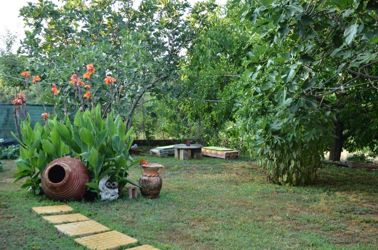 Willa Doloi Garden House Málta Zewnętrze zdjęcie